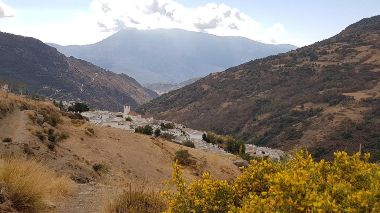 B&B La Granadilla Cónchar Екстериор снимка